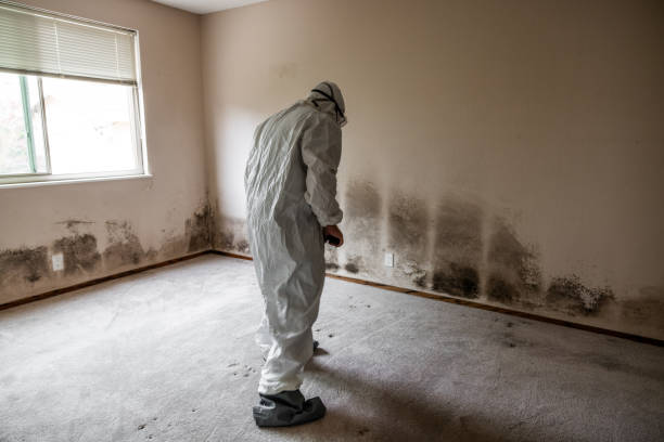 Best Airborne Mold Testing  in Middletown, CT