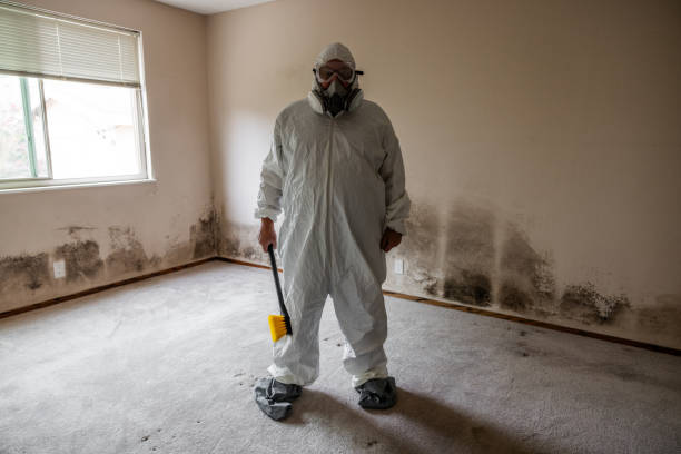 Best Mold Odor Removal Services  in Middletown, CT